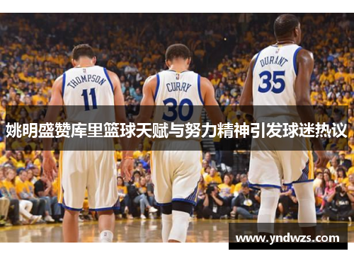 姚明盛赞库里篮球天赋与努力精神引发球迷热议