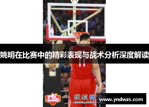 姚明在比赛中的精彩表现与战术分析深度解读