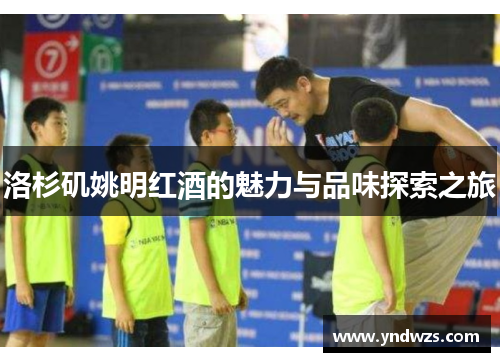 洛杉矶姚明红酒的魅力与品味探索之旅
