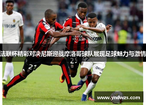法联杯精彩对决尼斯迎战摩洛哥球队展现足球魅力与激情