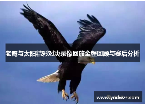 老鹰与太阳精彩对决录像回放全程回顾与赛后分析